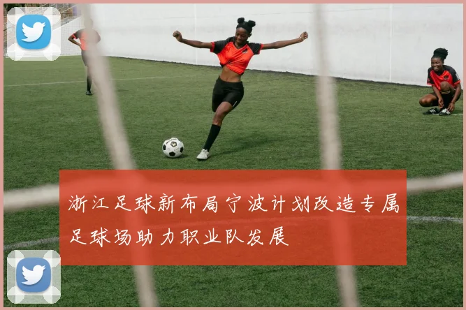 浙江足球新布局宁波计划改造专属足球场助力职业队发展