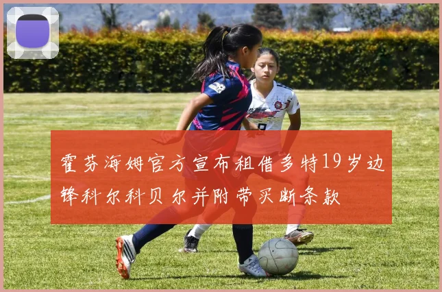 霍芬海姆官方宣布租借多特19岁边锋科尔科贝尔并附带买断条款
