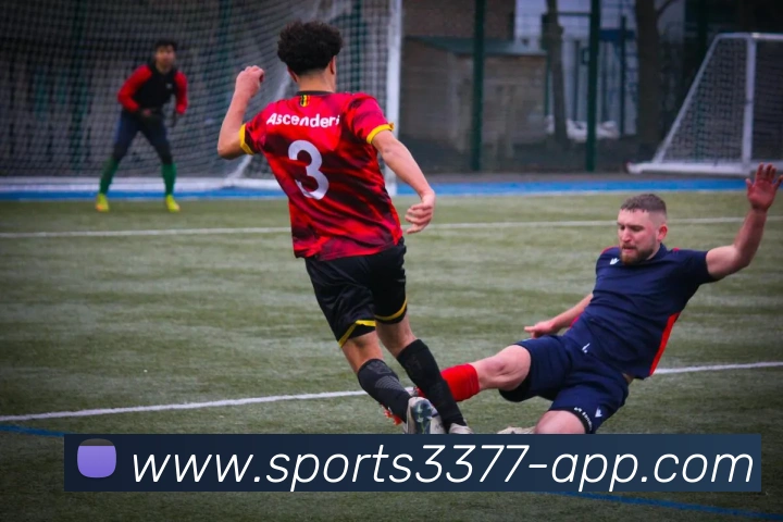 多媒体互动体验